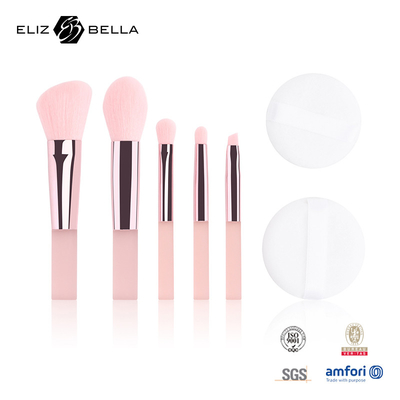 5pcs Cute ταξιδιωτικό μακιγιάζ βούρτσα κιτ με καθαρή εκτύπωση PVC συσκευασία κουτί OEM