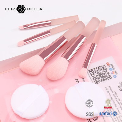 5pcs Cute ταξιδιωτικό μακιγιάζ βούρτσα κιτ με καθαρή εκτύπωση PVC συσκευασία κουτί OEM